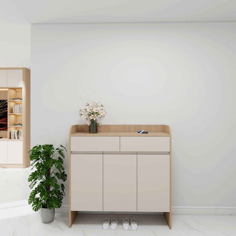 Kệ Giày Dép Hiện Đại Tối Giản AP0002